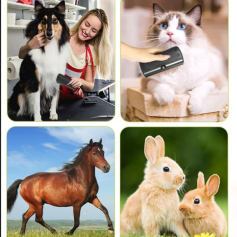 Multifunctional Professional Pet Deshedding Grooming Brush