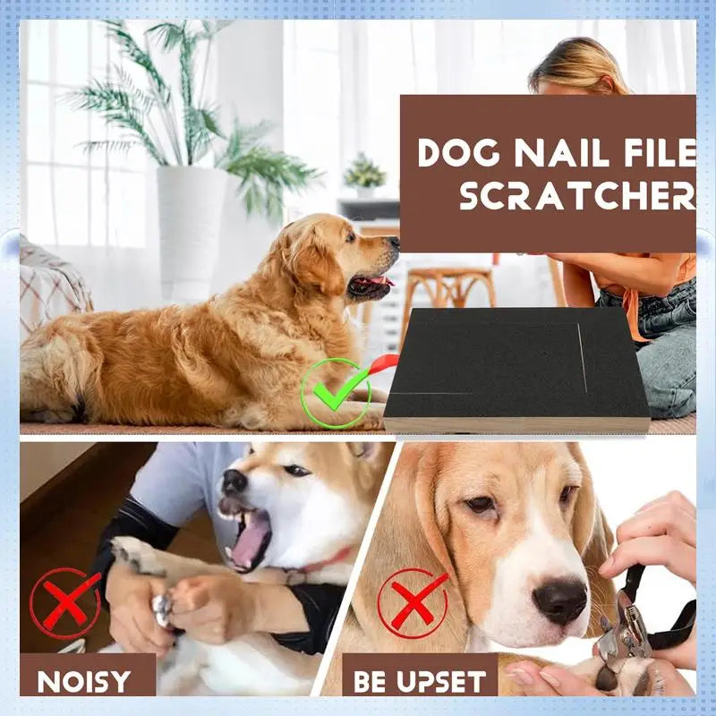 Dog Nail Care Scraper and Trimming Scratch Board - Emery File Box